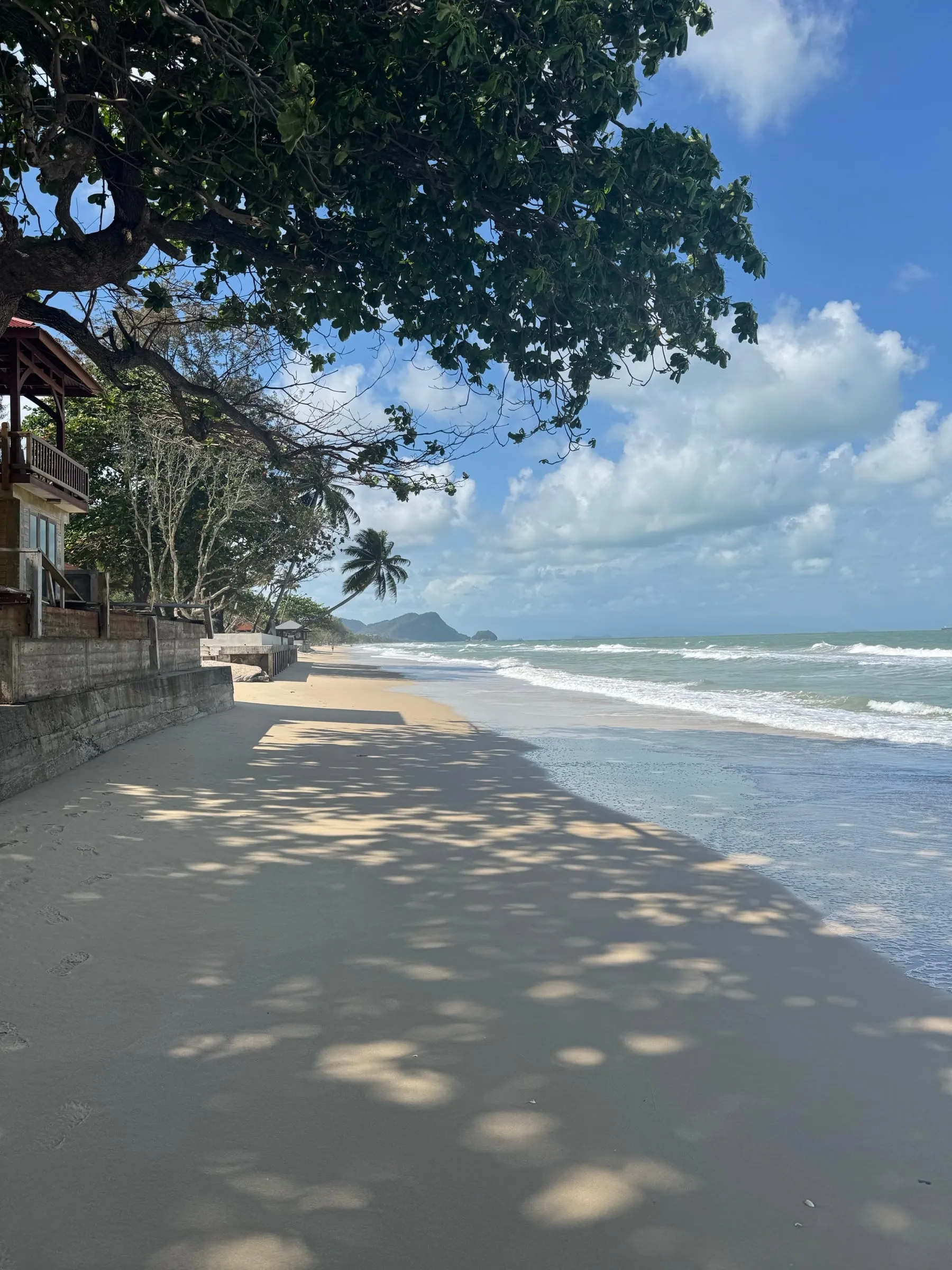 An empty stretch of beach in dappled tree shade, a leaning palm and the headland at the far end