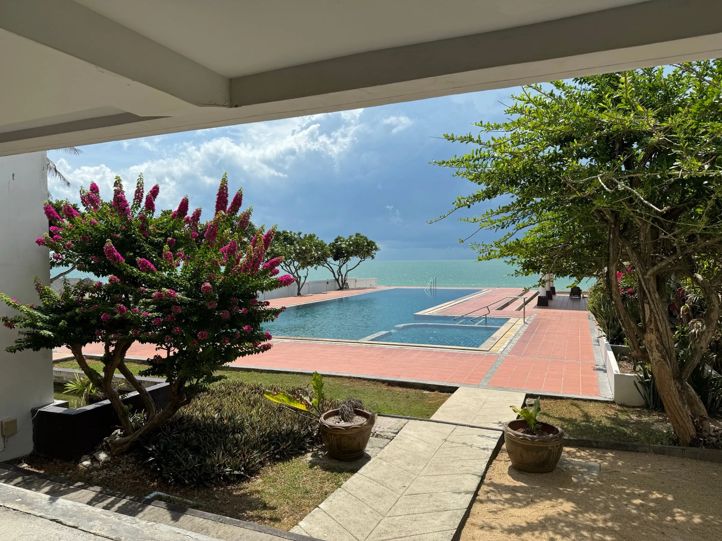 From under the building, a flowering tree, the garden path and the pool, with the sea behind